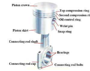 cau-tao-cua-pit-tong