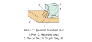 nguyen-ly-cat-va-dao-cat