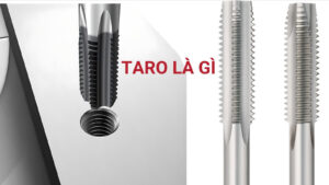 Khám phá taro là gì