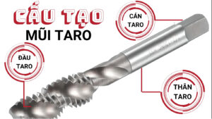 kham-pha-taro-chi-tiet