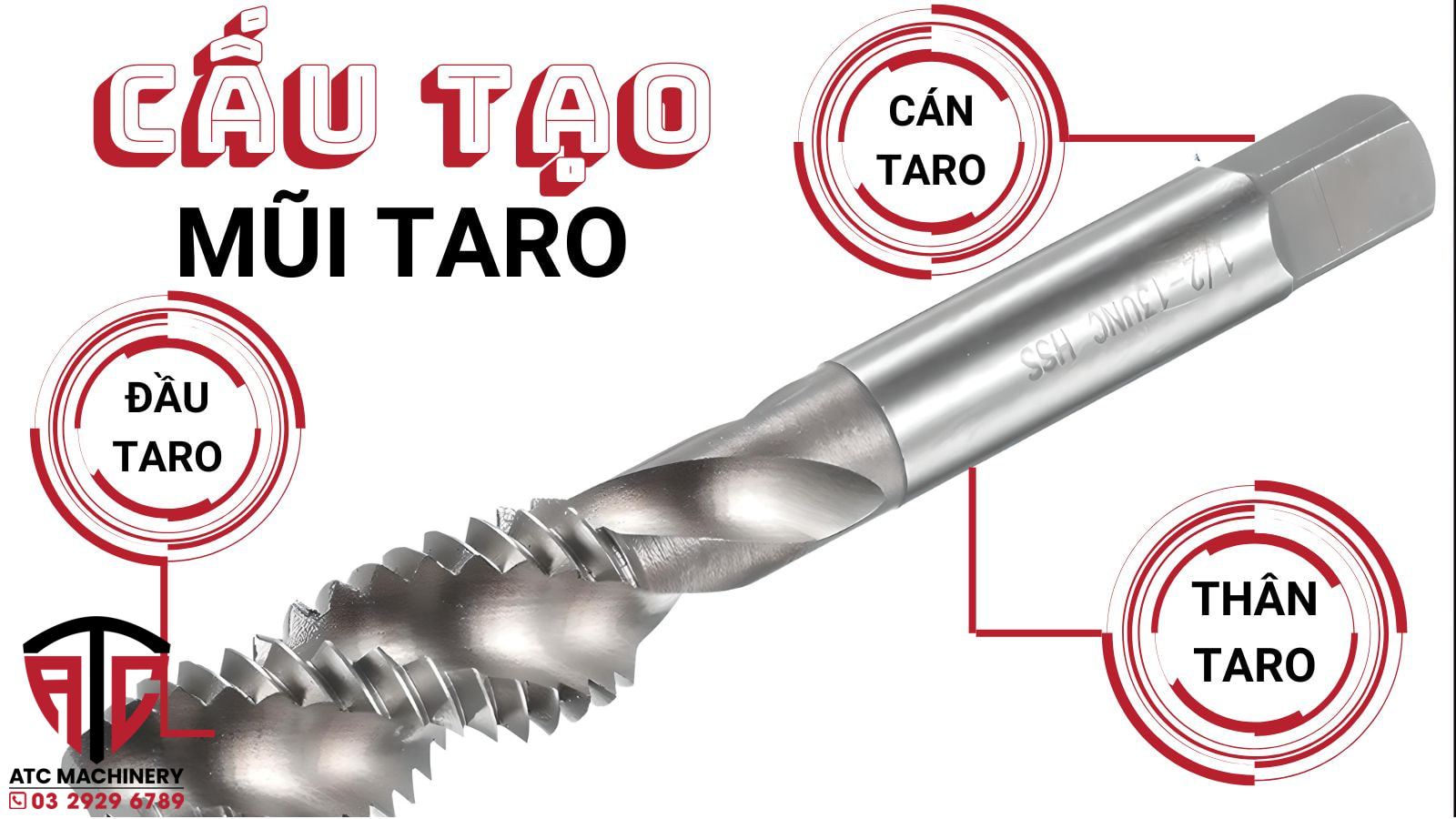 Taro Là Gì? Hướng Dẫn Sử Dụng Taro Chuẩn Xác - ATC Machinery