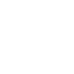 technical team with Service 13 technical team with